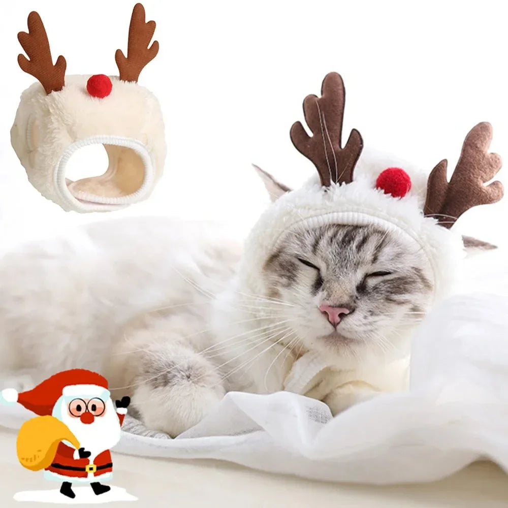 Pet Christmas Hat or Bib (Reindeer, Tree & Santa)